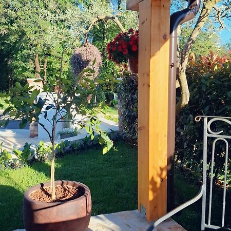 Apartment Damiani Umag Dış mekan fotoğraf
