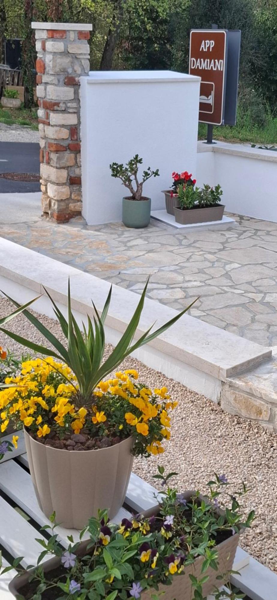 Apartment Damiani Umag Dış mekan fotoğraf