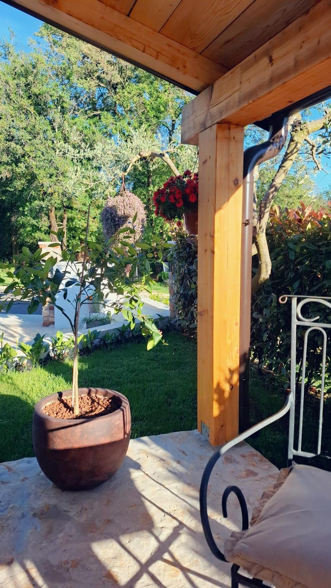 Apartment Damiani Umag Dış mekan fotoğraf